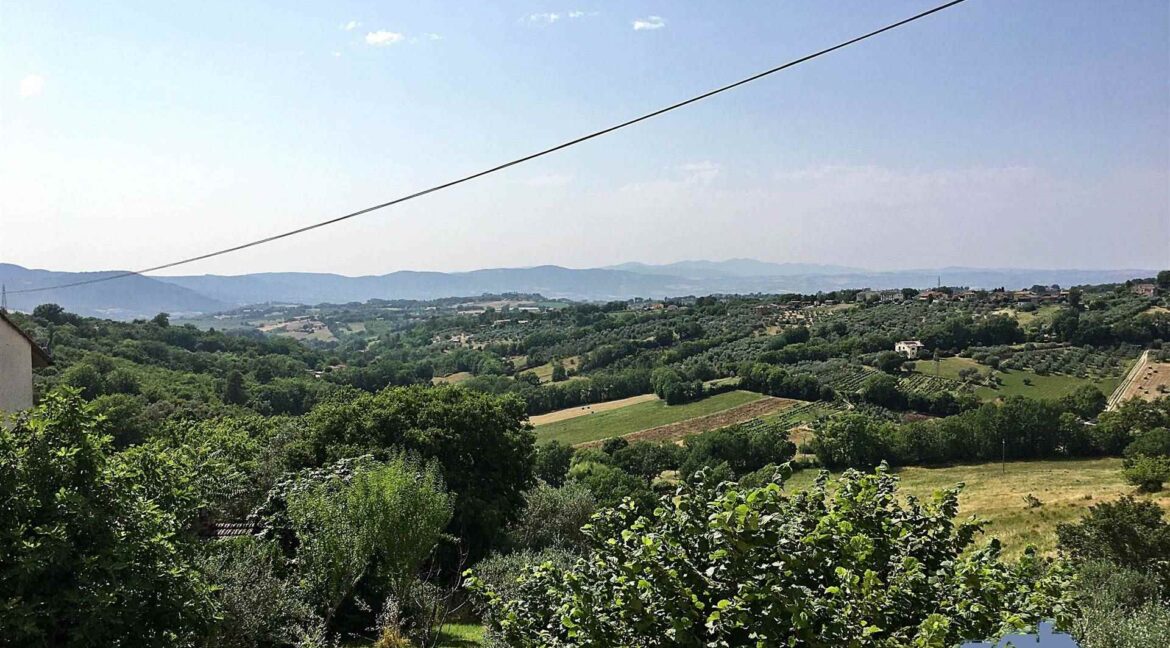 vista