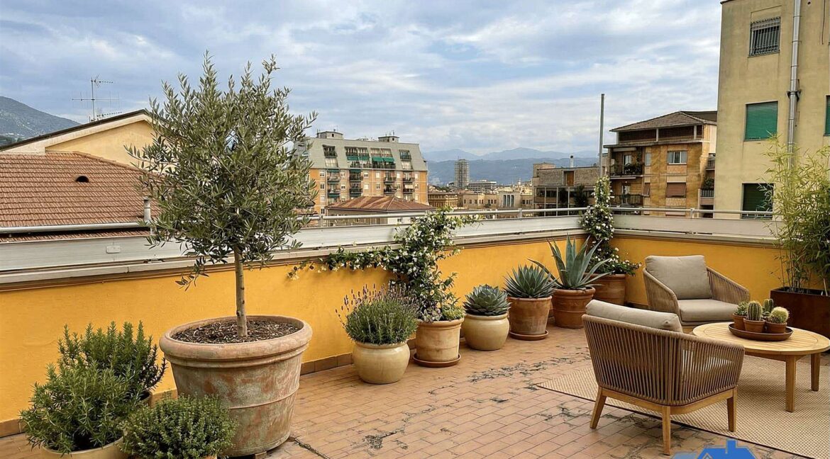 TERRAZZO