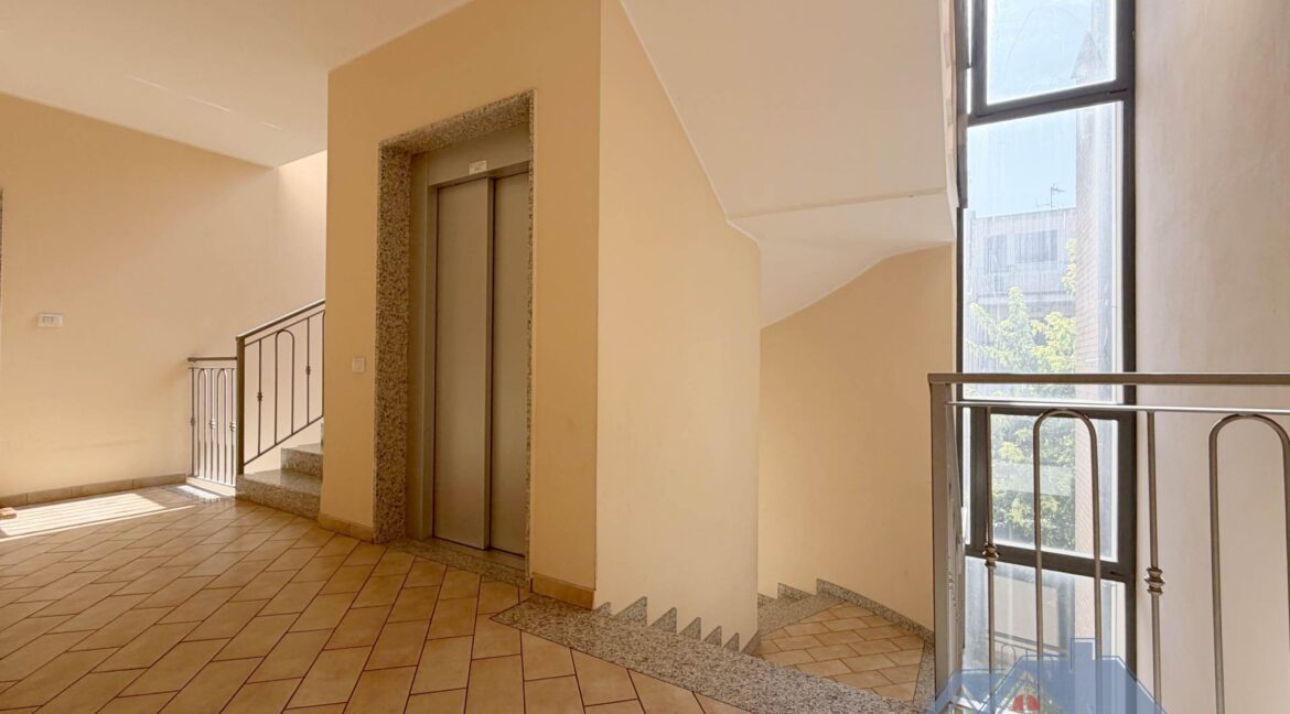 ingresso