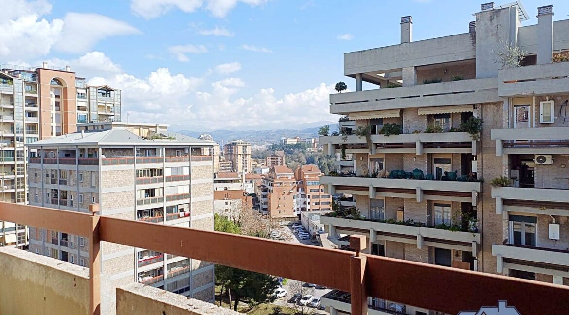 Vista
