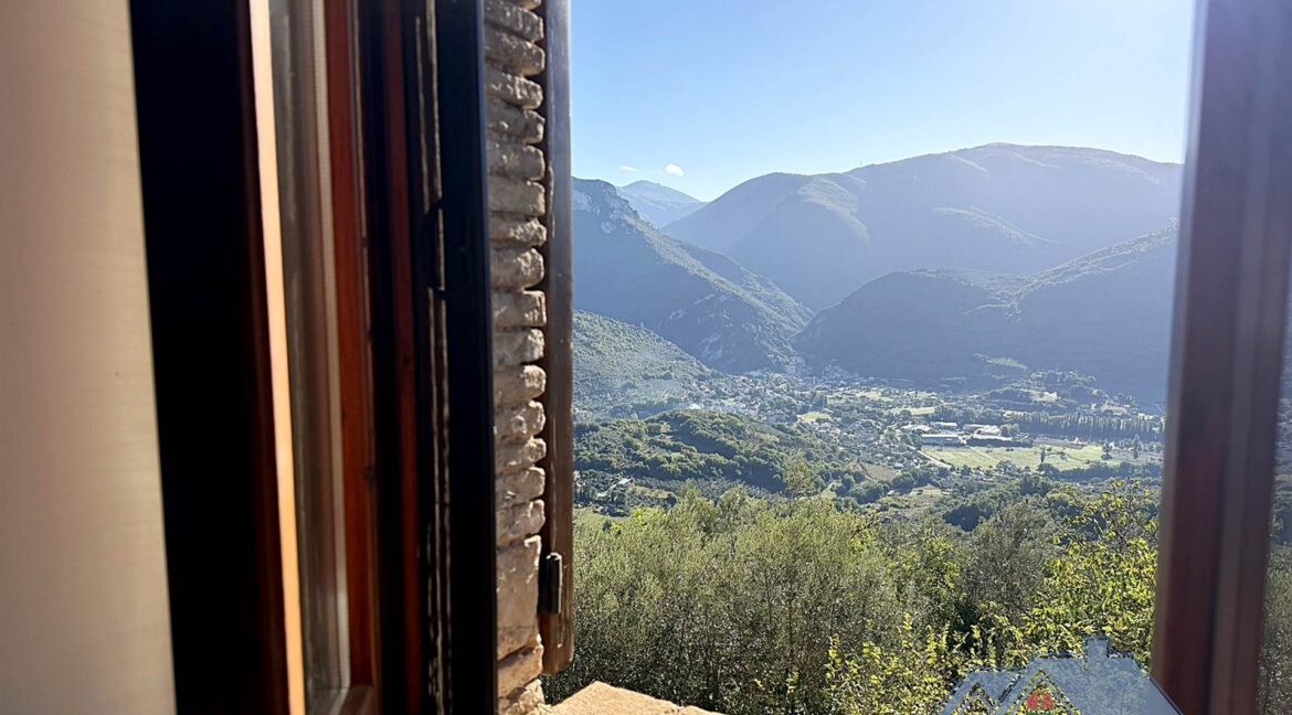 Vista