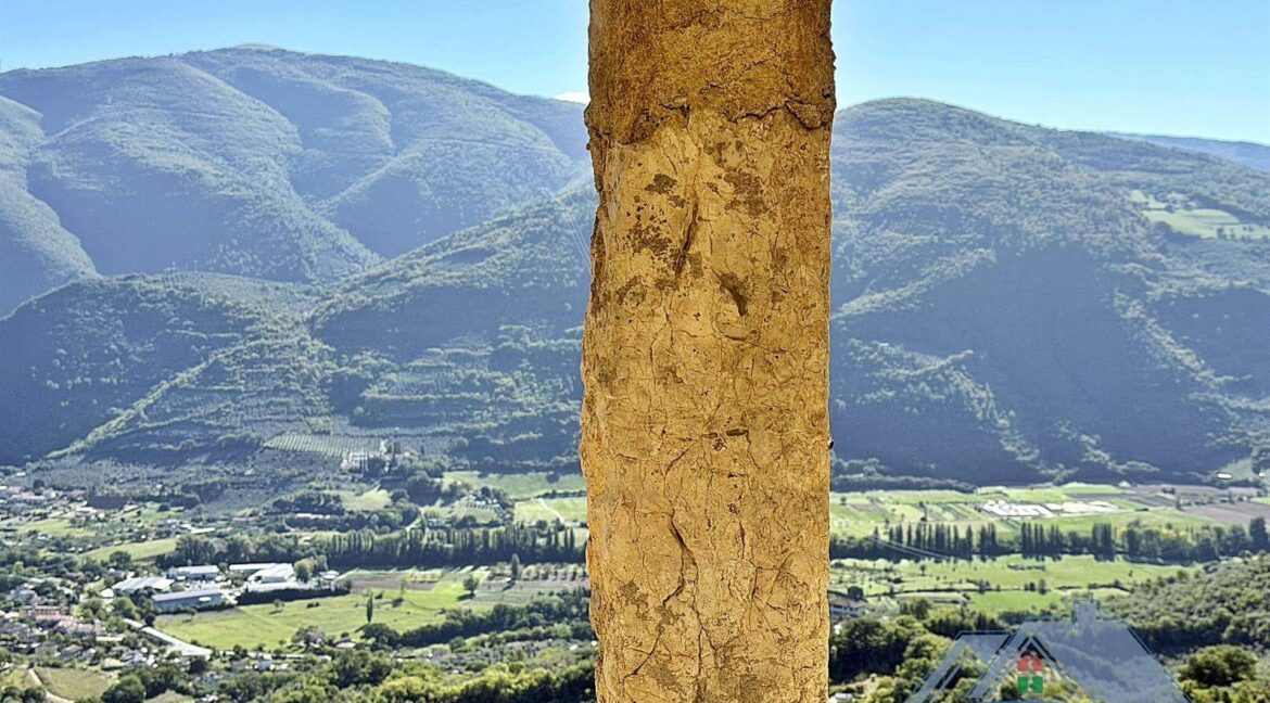 Vista