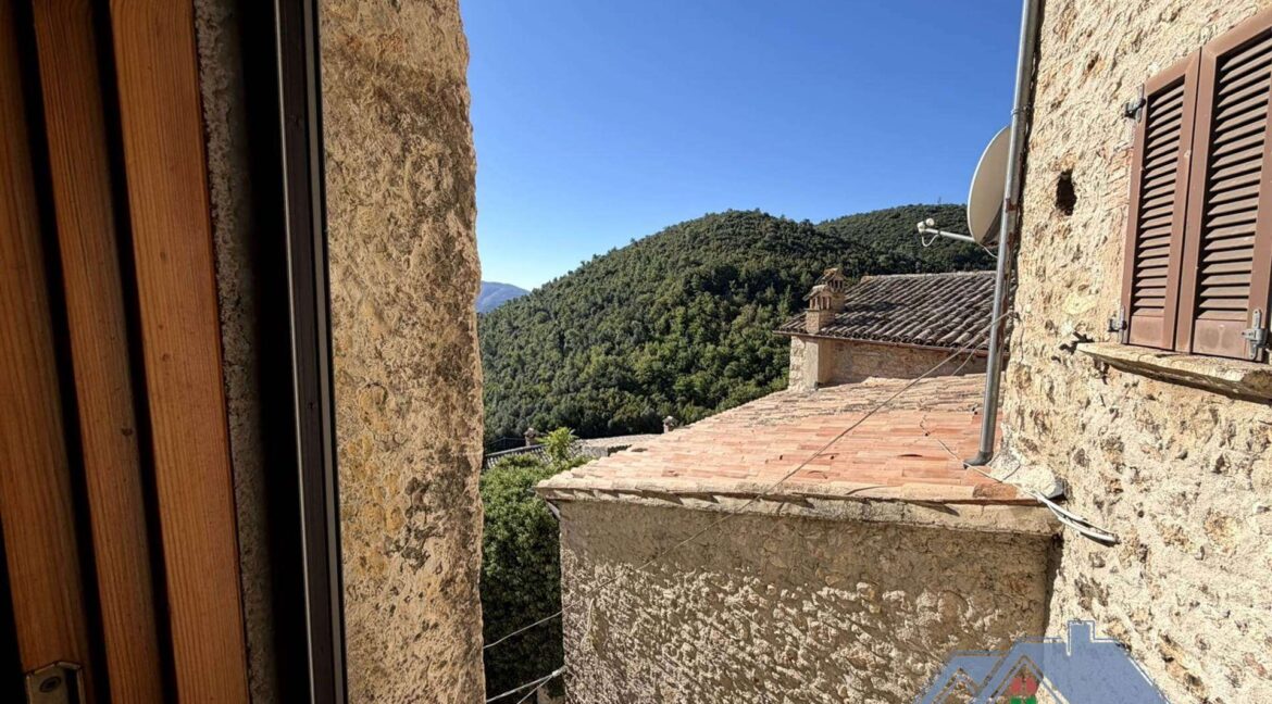 Vista