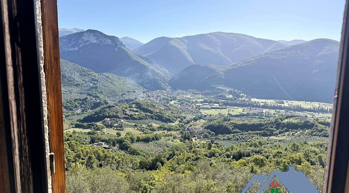 Vista