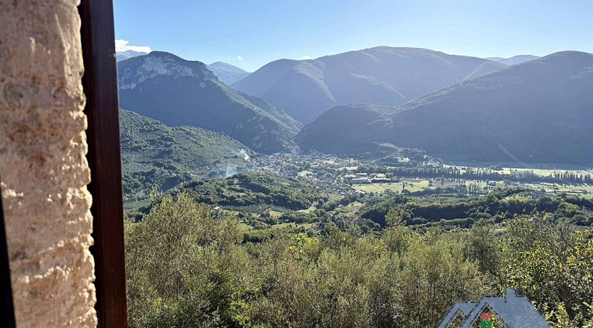 Vista